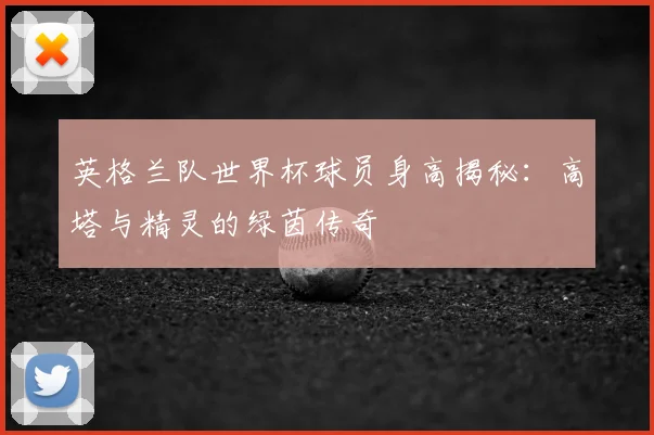 英格兰队世界杯球员身高揭秘：高塔与精灵的绿茵传奇