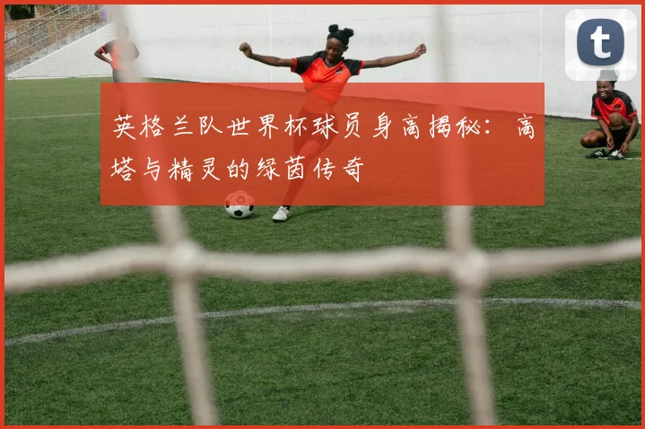 英格兰队世界杯球员身高揭秘：高塔与精灵的绿茵传奇